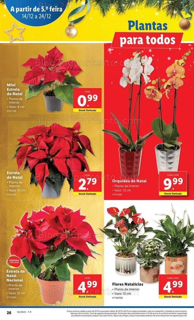 Antevisão Folheto LIDL Mercado de Plantas Promoções de 14 a 24 dezembro