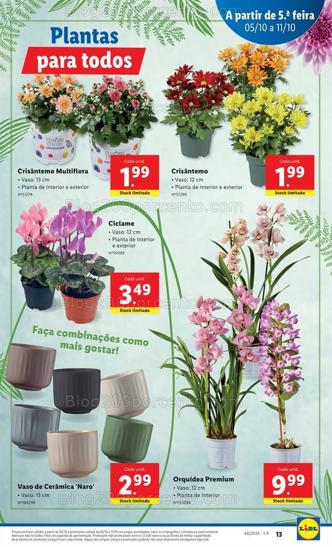 Antevisão Folheto LIDL Mercado de Plantas Promoções de 5 a 11 outubro