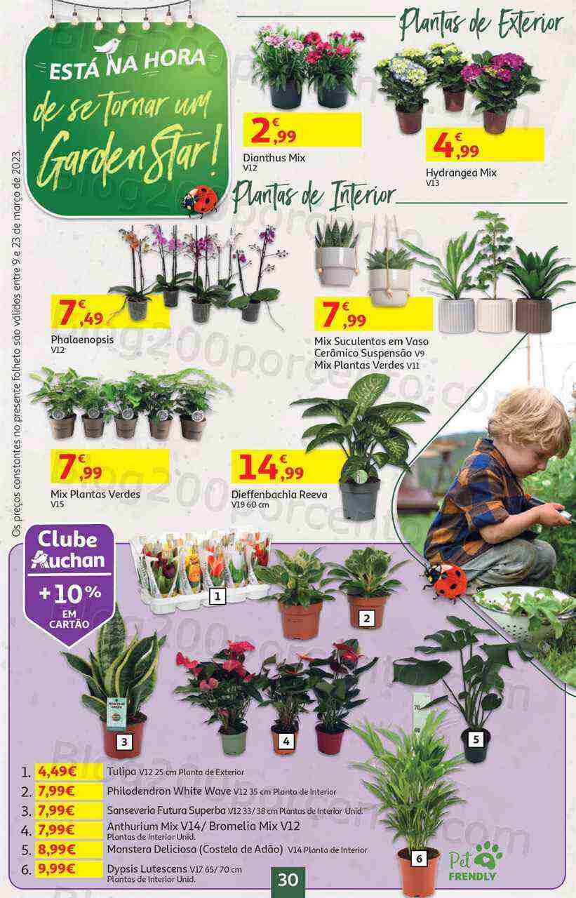 Antevisão Folheto AUCHAN Bazar Promoções de 9 a 23 março