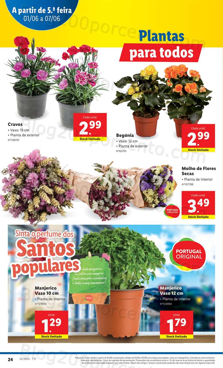 Antevisão Folheto LIDL Mercado de Plantas Promoções de 1 a 7 junho