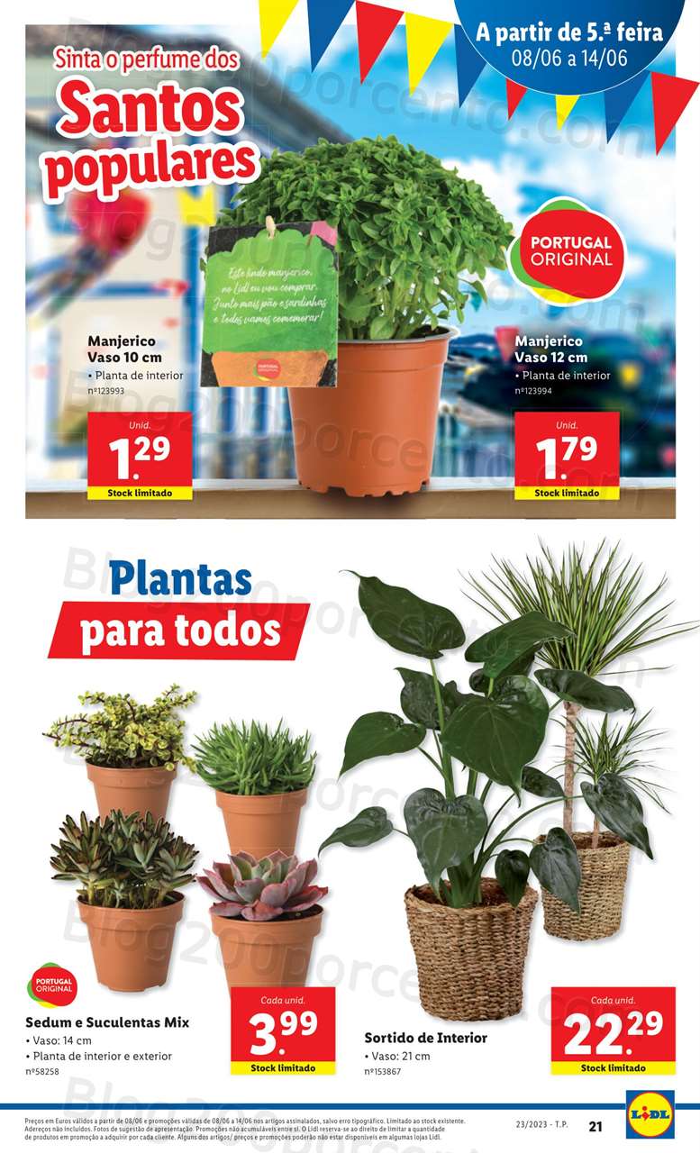 Antevisão Folheto LIDL Mercado de Plantas Promoções de 8 a 14 junho