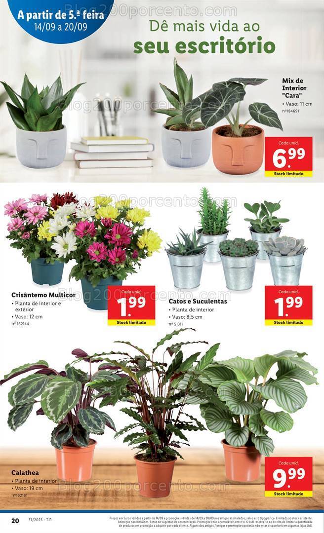 Antevisão Folheto LIDL Mercado de Plantas Promoções de 14 a 20 setembro