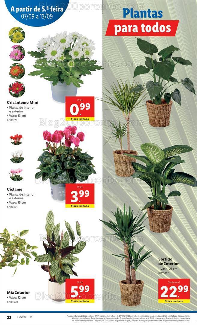 Antevisão Folheto LIDL Mercado de Plantas Promoções 7 a 13 setembro