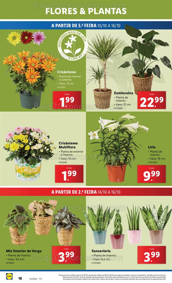 Antevisão Folheto LIDL Bazar Promoções de 10 a 16 outubro