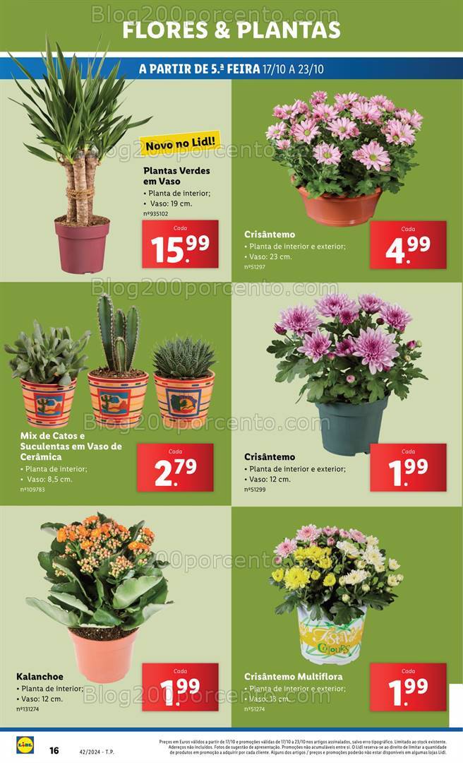 Antevisão Folheto LIDL Bazar Promoções de 17 a 23 outubro