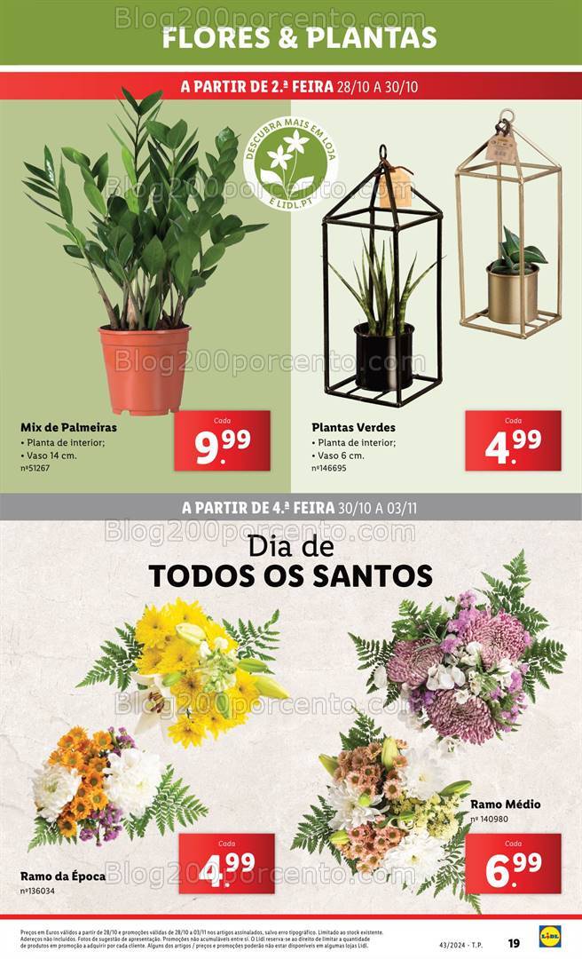 Antevisão Folheto LIDL Bazar Promoções de 24 a 30 outubro