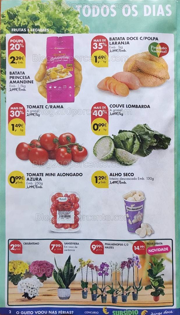 Antevisão Folheto PINGO DOCE Promoções de 15 a 21 outubro