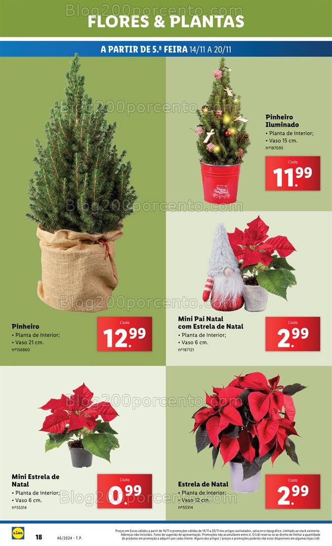 Antevisão Folheto LIDL Mercado de Plantas Promoções de 14 a 20 novembro