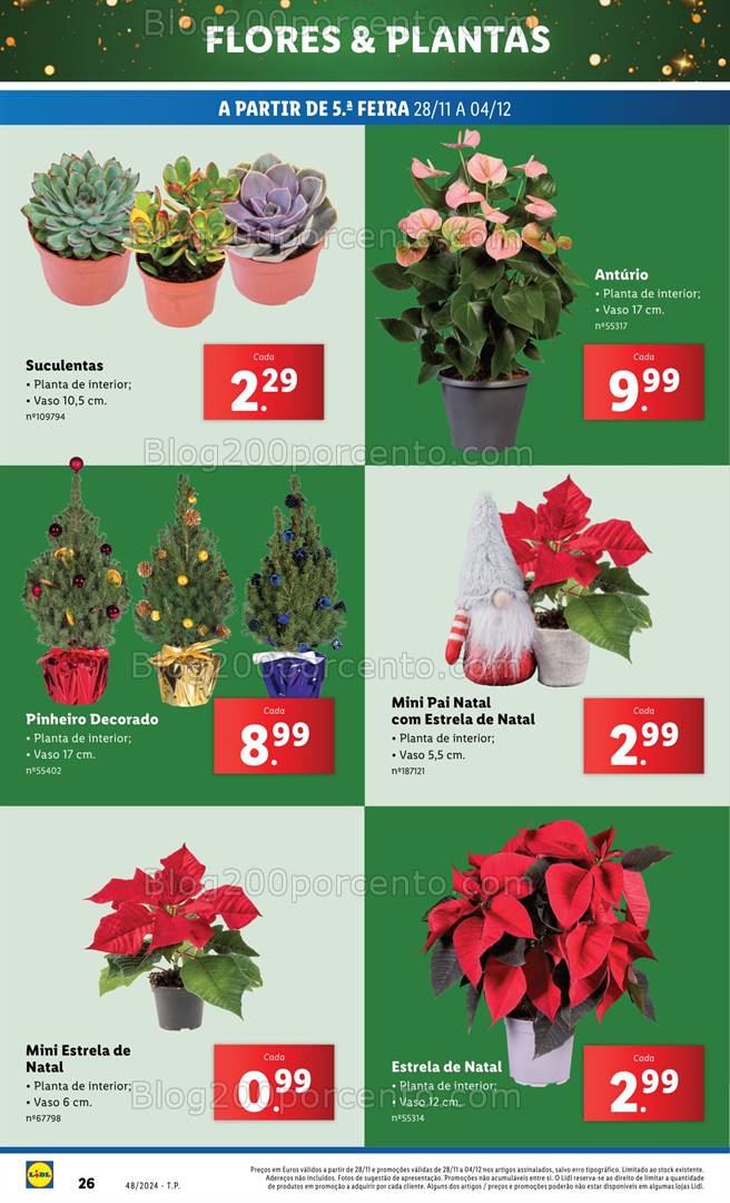 Antevisão Folheto LIDL Mercado de Plantas Promoções de 28 novembro a 4 dezembro