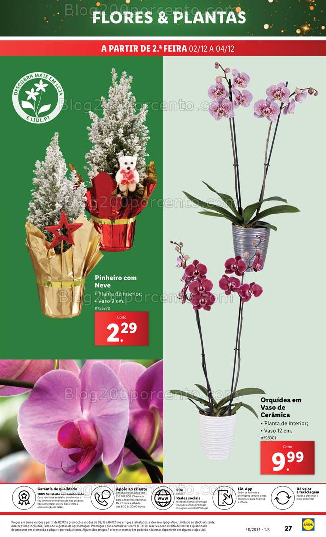 Antevisão Folheto LIDL Mercado de Plantas Promoções de 28 novembro a 4 dezembro