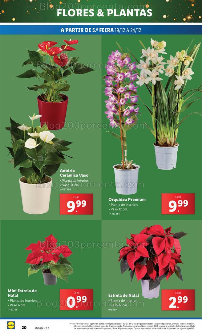 Antevisão Folheto LIDL Mercado de Plantas Promoções de 19 a 24 dezembro