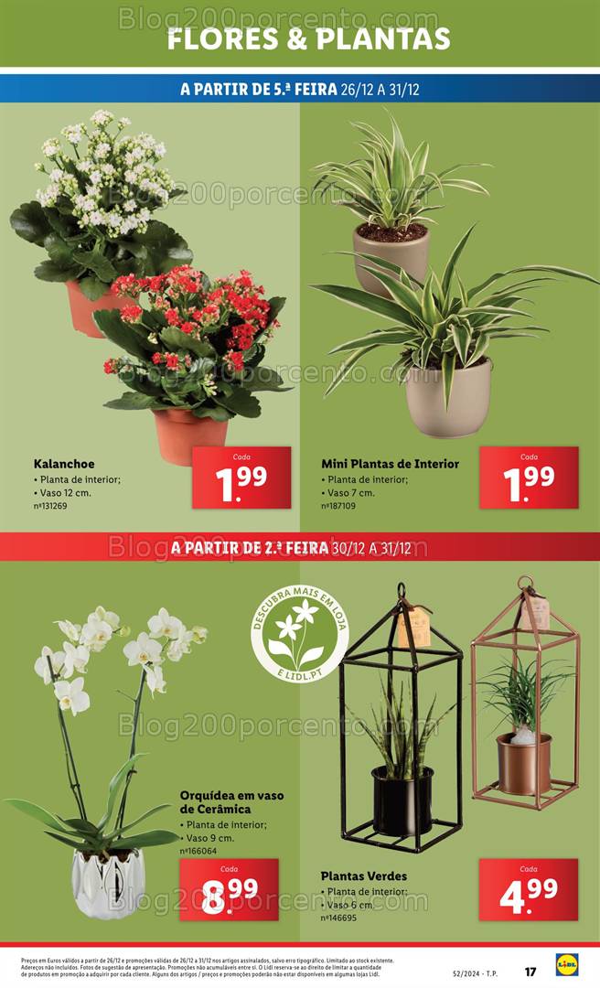 Antevisão Folheto LIDL Mercado de Plantas Promoções de 26 a 31 dezembro