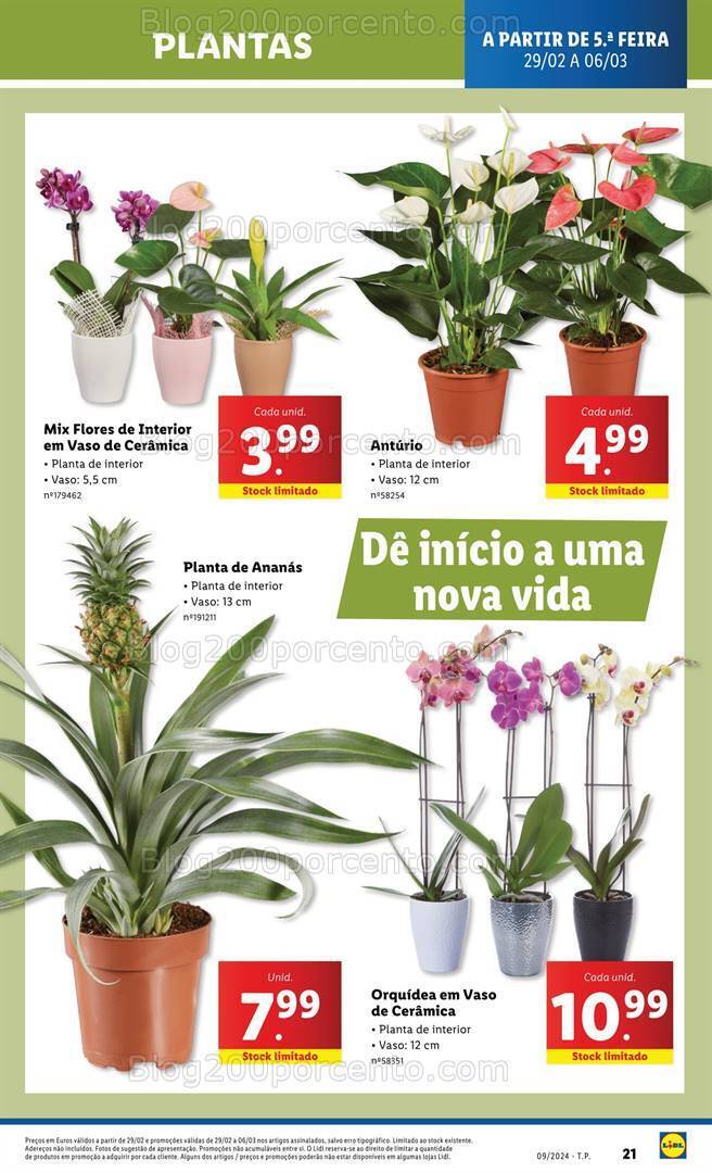 Antevisão Folheto LIDL Mercado de Plantas Promoções de 29 fevereiro a 6 março