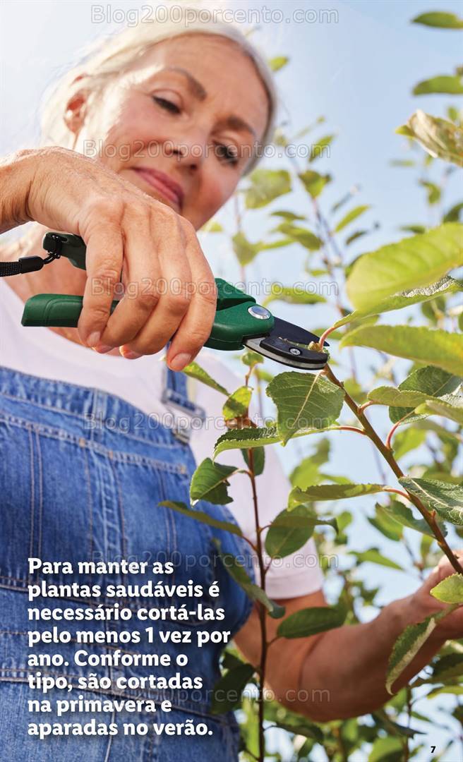 Antevisão Folheto LIDL Especial Jardim Promoções a partir de 7 março