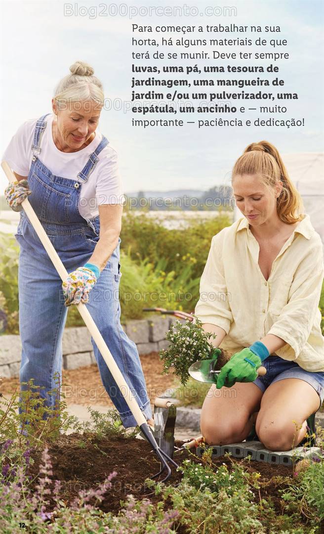 Antevisão Folheto LIDL Especial Jardim Promoções a partir de 7 março