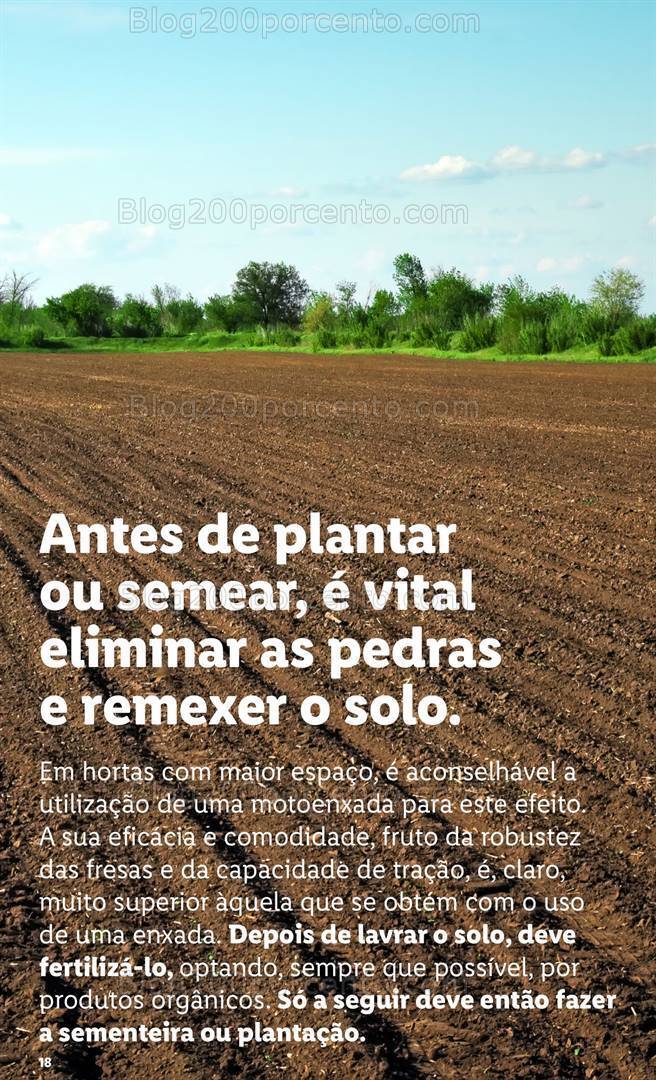 Antevisão Folheto LIDL Especial Jardim Promoções a partir de 7 março