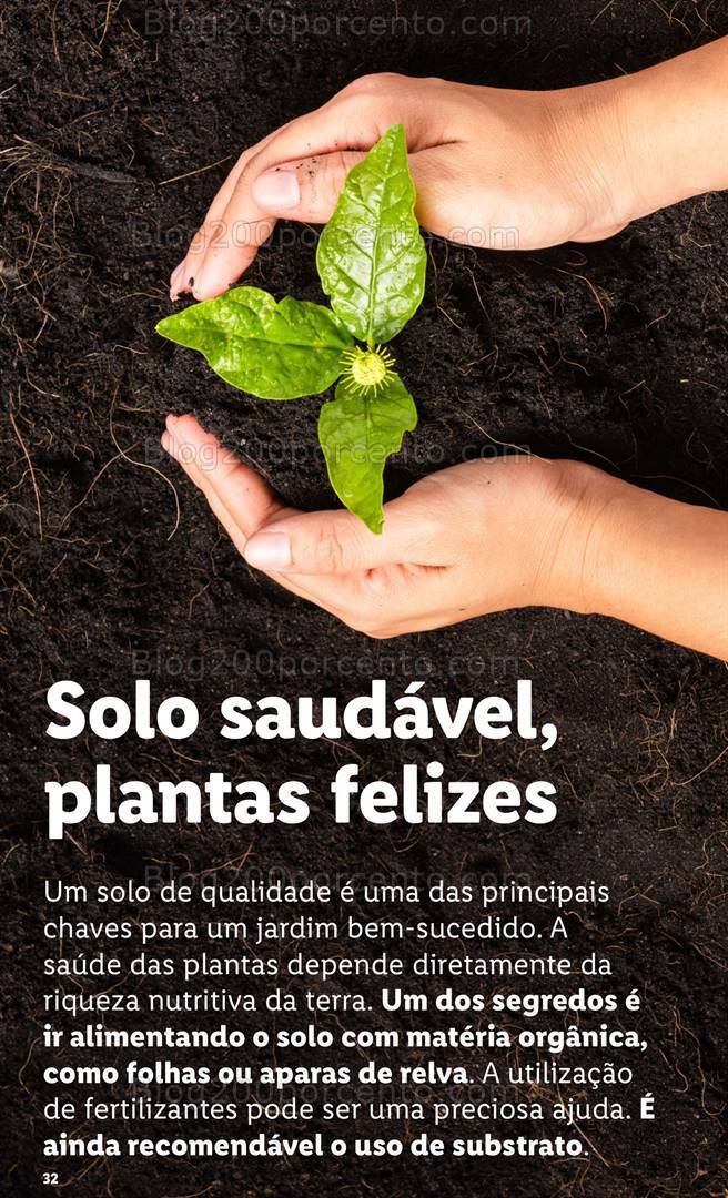 Antevisão Folheto LIDL Especial Jardim Promoções a partir de 7 março