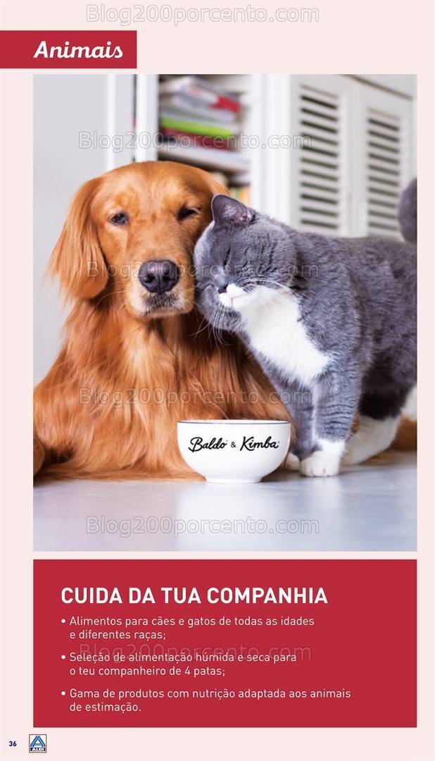 Antevisão Folheto ALDI Saldos + Aberturas Vila do Bispo Promoções de 20 a 26 março