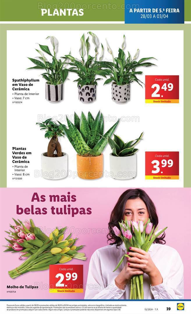 Antevisão Folheto LIDL Mercado de Plantas Promoções de 28 março a 3 abril