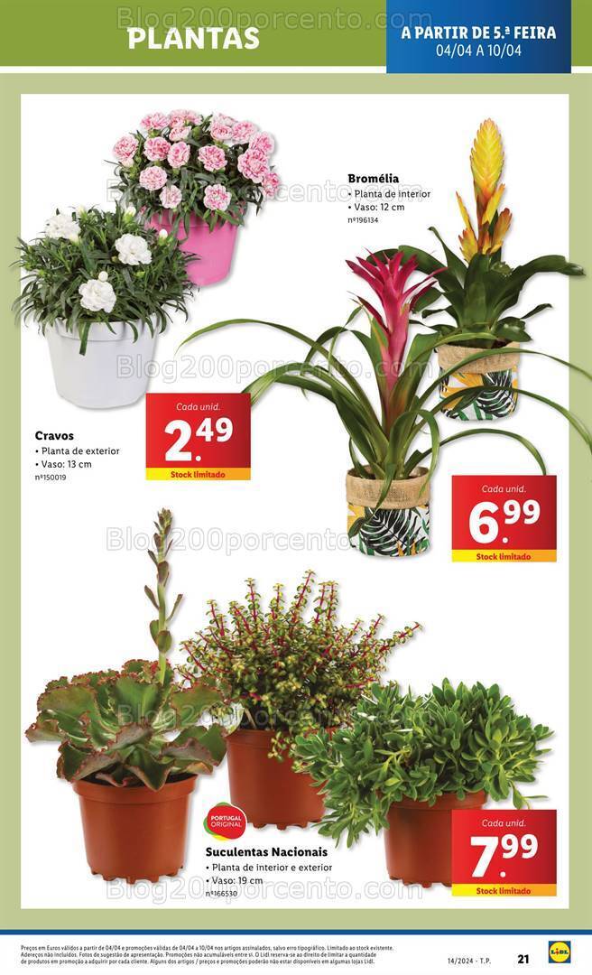 Antevisão Folheto LIDL Mercado de Plantas Promoções de 4 a 10 abril