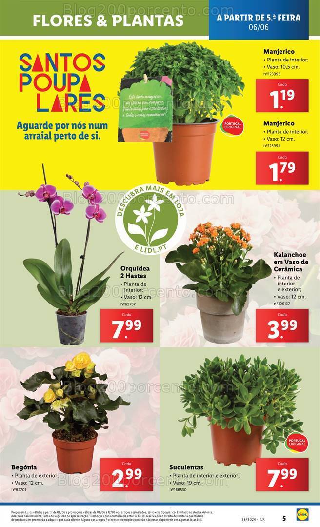 Antevisão Folheto LIDL Mercado de Plantas Promoções de 6 a 12 junho
