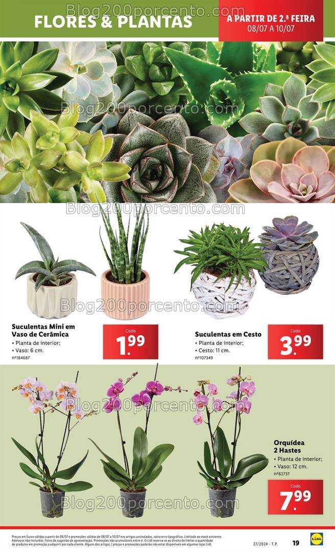 Antevisão Folheto LIDL Promoções de 4 a 10 julho