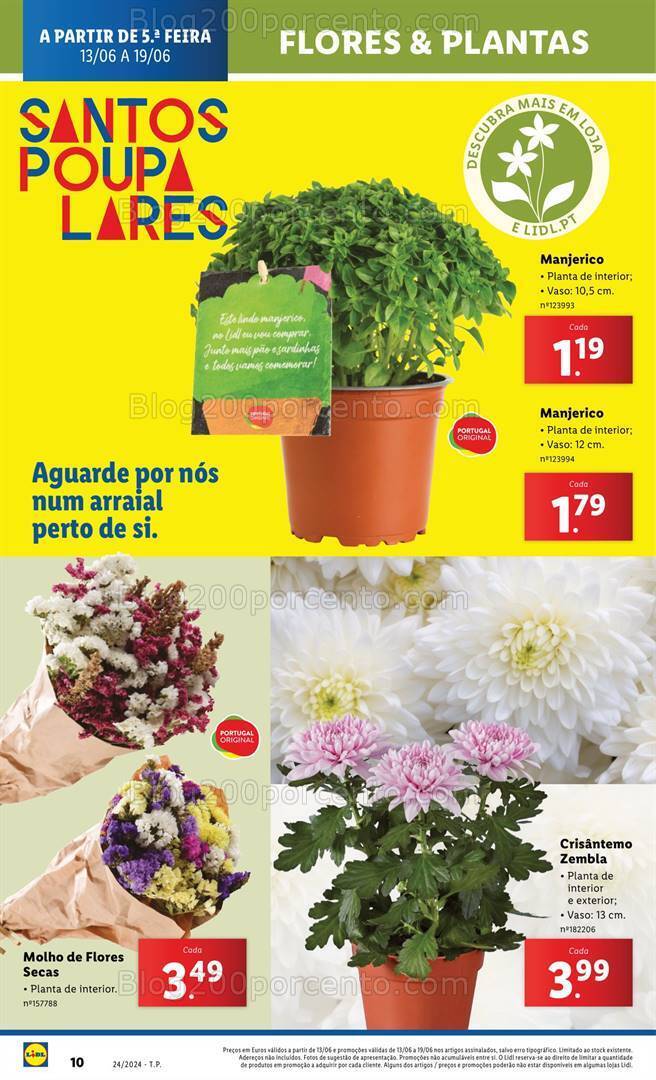 Antevisão Folheto LIDL Mercado de Plantas Promoções de 13 a 19 junho