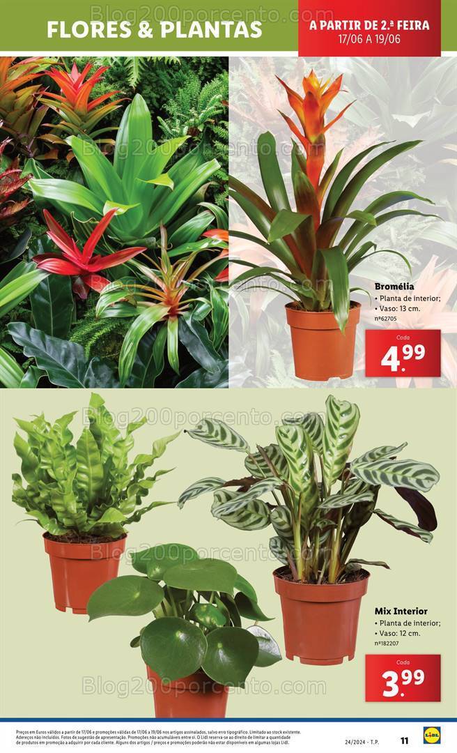 Antevisão Folheto LIDL Bazar Promoções de 13 a 19 junho