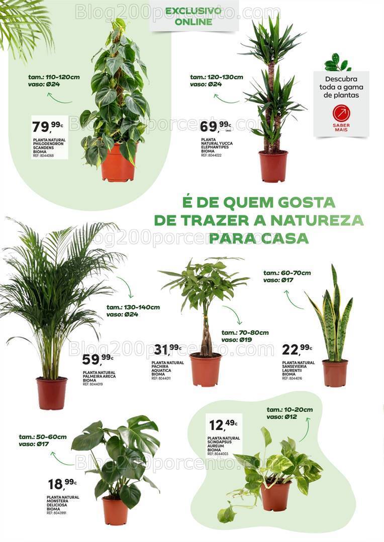 Antevisão Folheto CONTINENTE Verão Extra Promoções de 25 junho a 1 setembro
