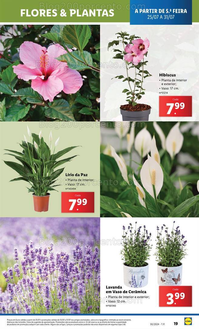 Antevisão Folheto LIDL Bazar Promoções a partir de 25 julho
