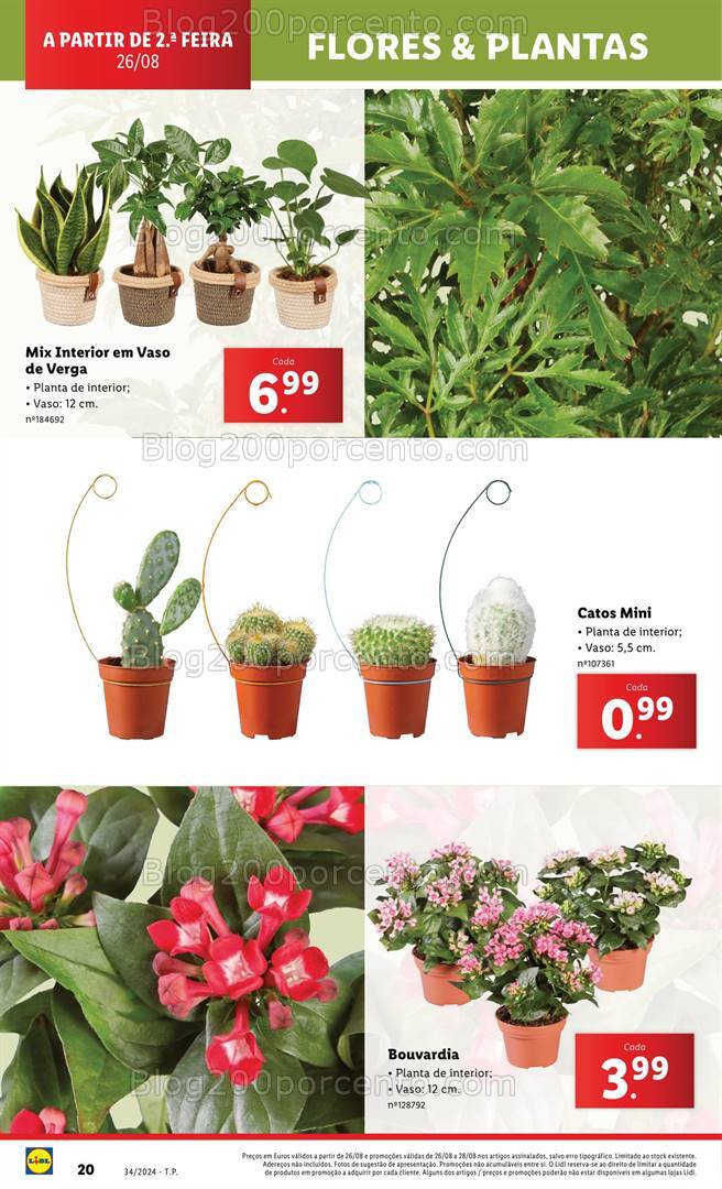 Antevisão Folheto LIDL Bazar Promoções a partir de 26 agosto