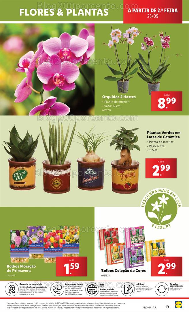 Antevisão Folheto LIDL Bazar Promoções de 19 a 25 setembro