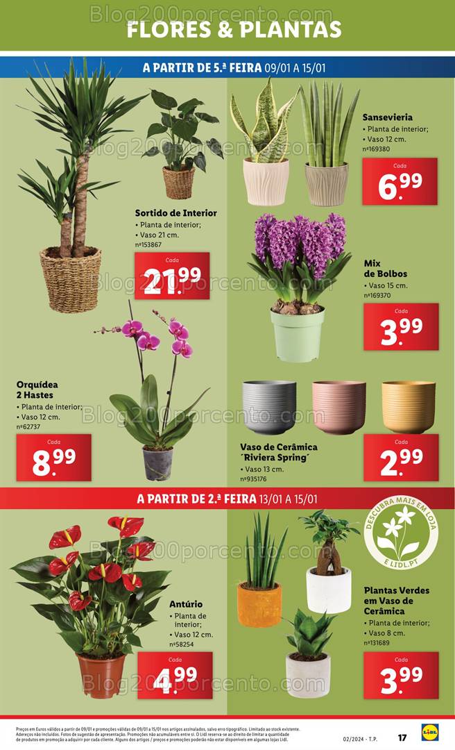 Antevisão Folheto LIDL Mercado de Plantas Promoções de 9 a 15 janeiro