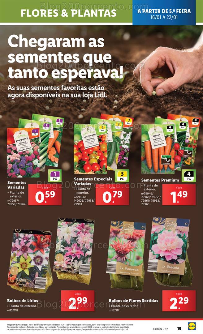 Antevisão Folheto LIDL Mercado de Plantas Promoções de 16 a 22 janeiro