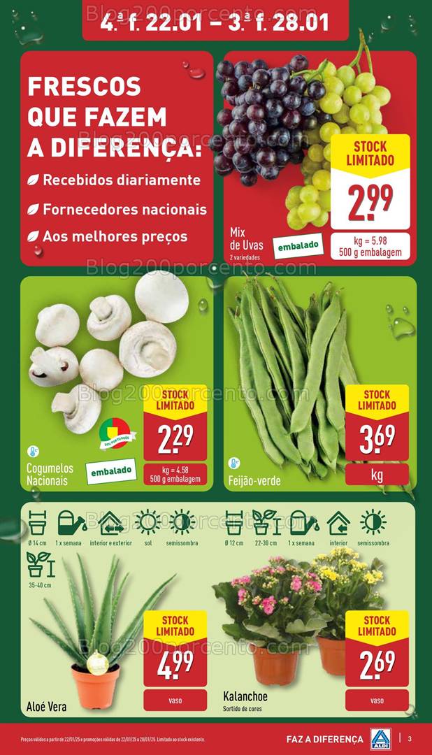 Antevisão Folheto ALDI Promoções de 22 a 28 janeiro