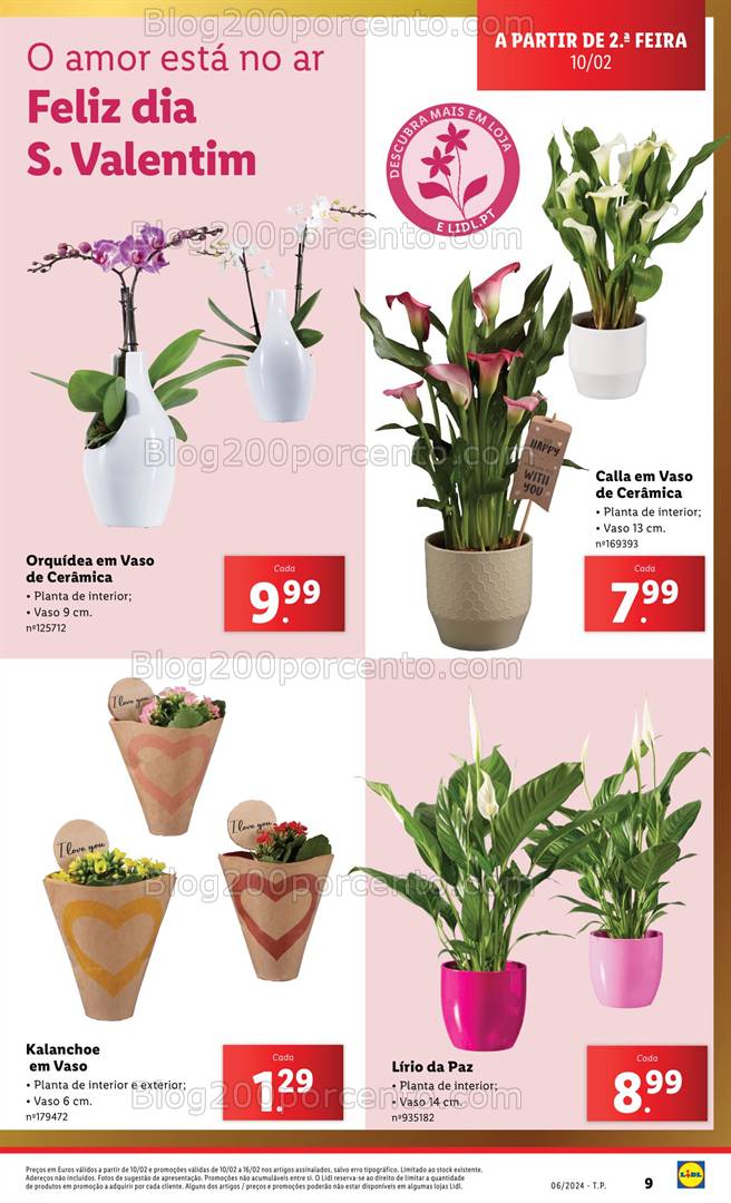 Antevisão Folheto LIDL Bazar Promoções a partir de 10 fevereiro