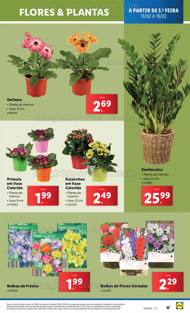 Antevisão Folheto LIDL Mercado de Plantas Promoções a partir de 17 fevereiro