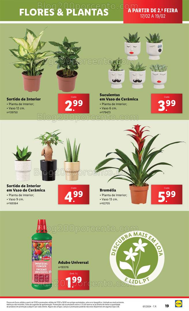 Antevisão Folheto LIDL Mercado de Plantas Promoções a partir de 17 fevereiro