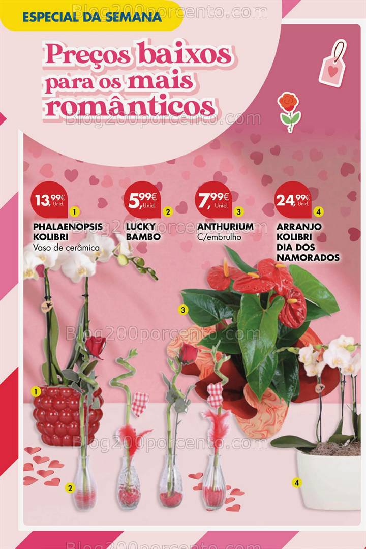 Antevisão Folheto PINGO DOCE Bazar Promoções Fim de Semana - 7 a 10 fevereiro