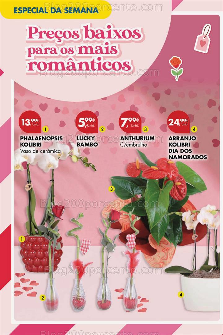 Antevisão Folheto PINGO DOCE Promoções Fim de Semana - 7 a 10 fevereiro
