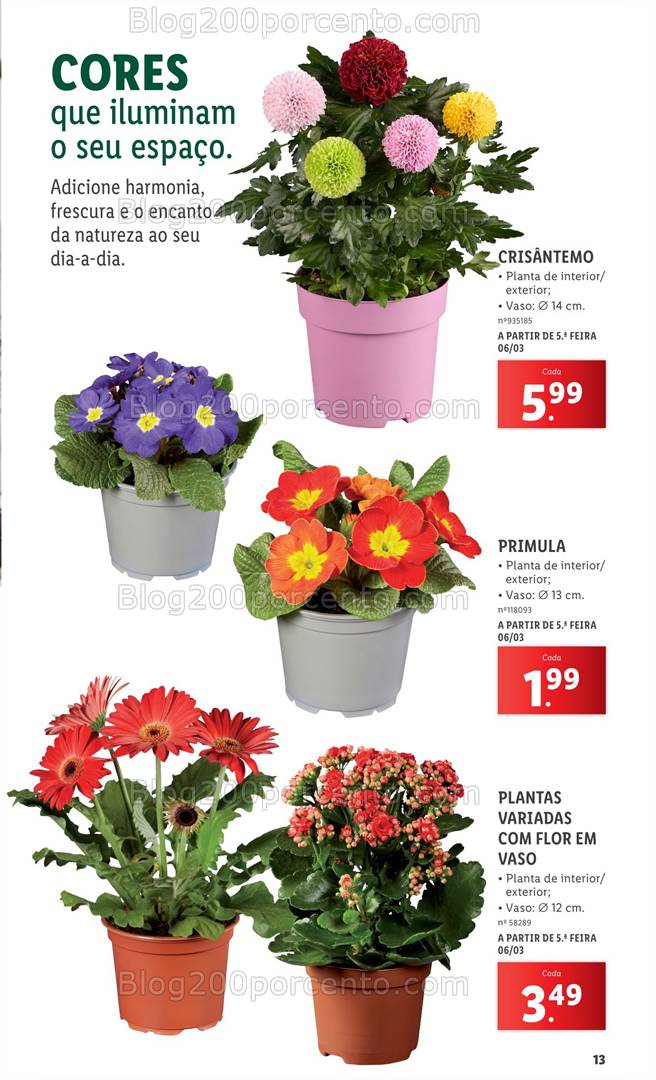 Antevisão Folheto LIDL Especial Jardim Promoções a partir de 3 março