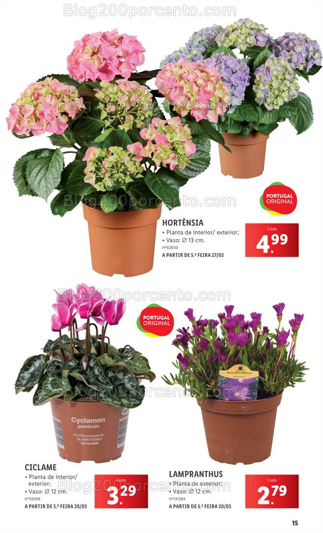 Antevisão Folheto LIDL Especial Jardim Promoções a partir de 3 março