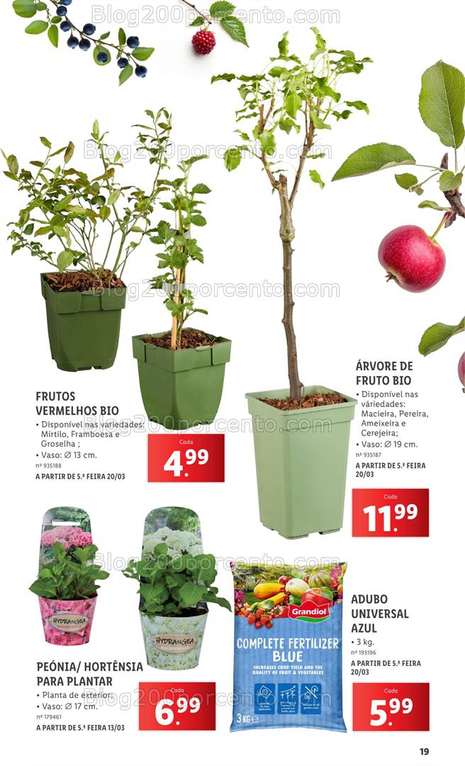 Antevisão Folheto LIDL Especial Jardim Promoções a partir de 3 março