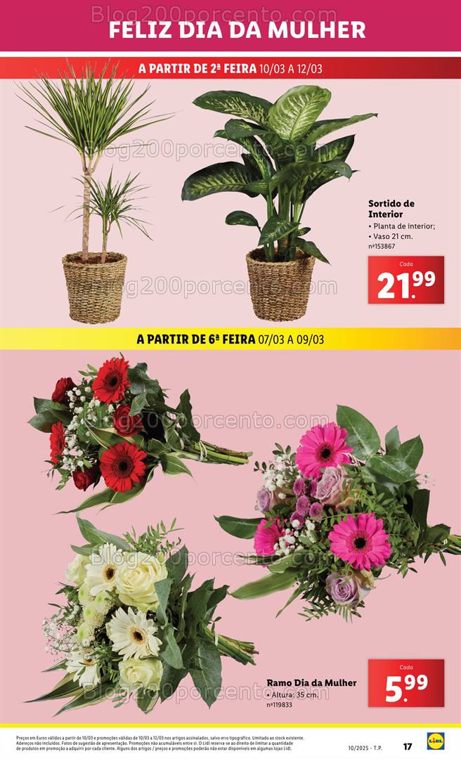 Antevisão Folheto LIDL Bazar Promoções a partir de 10 março