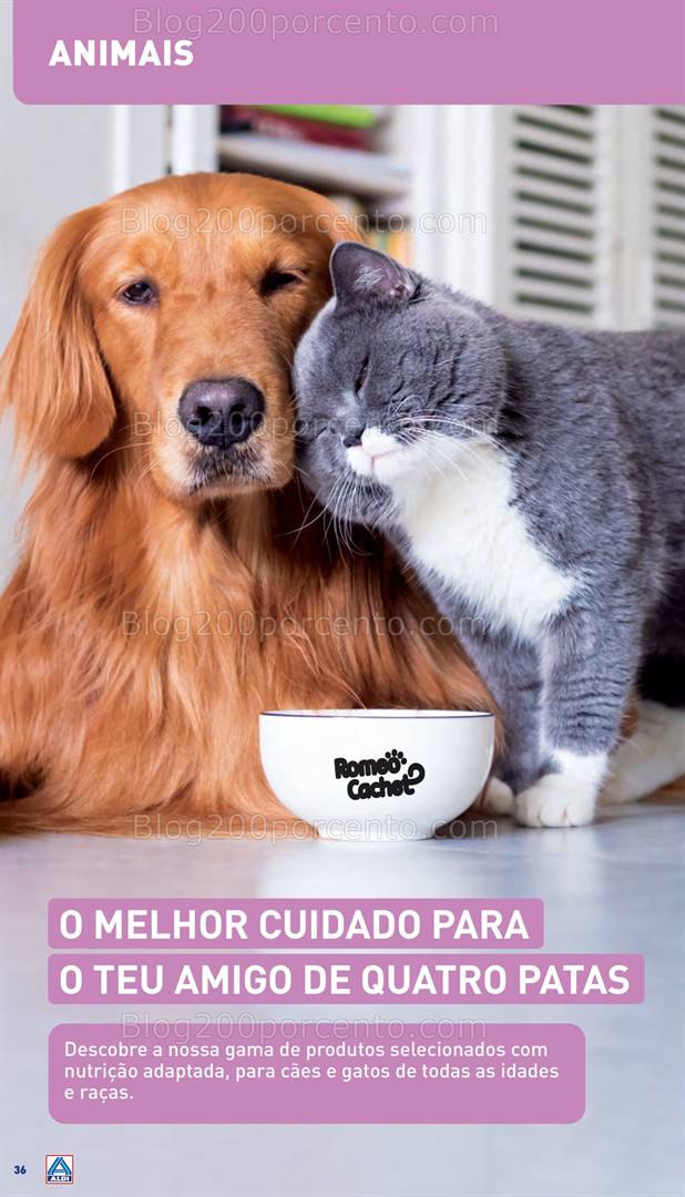 Antevisão Folheto ALDI Abertura Ílhavo Promoções de 14 a 20 maio