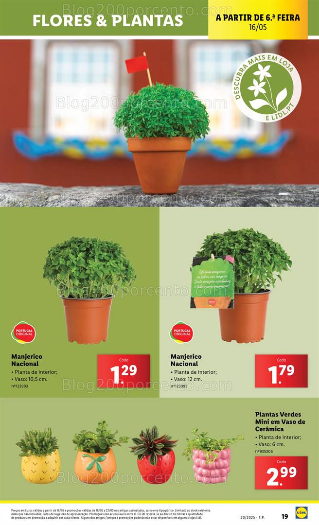 Antevisão Folheto LIDL Bazar Promoções de 12 a 22 de maio plantas