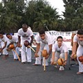 Capturar-capoeira.PNG