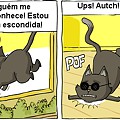 GATO-CEGO.png