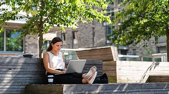 Faz do Verde a tua bandeira