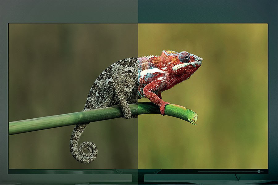 Com o HD do MEO veja a realidade como ela é